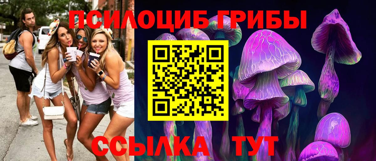 Апрелевка  Галлюциногенные грибы ЛСД  Вход с VPN 