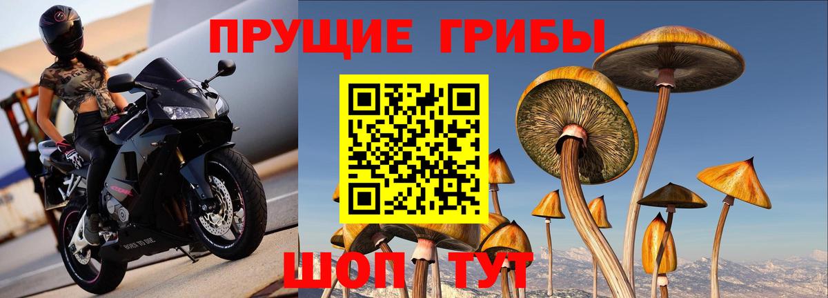 Псилоцибиновые грибы GOLDEN TEACHER Апрелевка